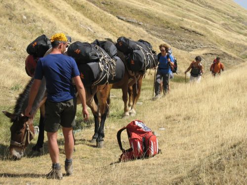 trekking con i muli-46.JPG